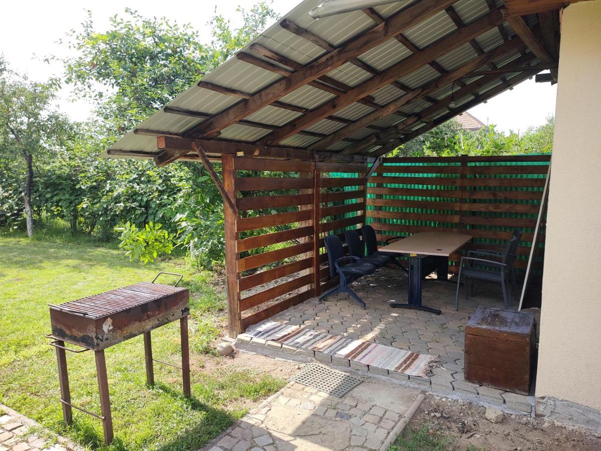 Vicky House Leilighet Făgăraş Eksteriør bilde