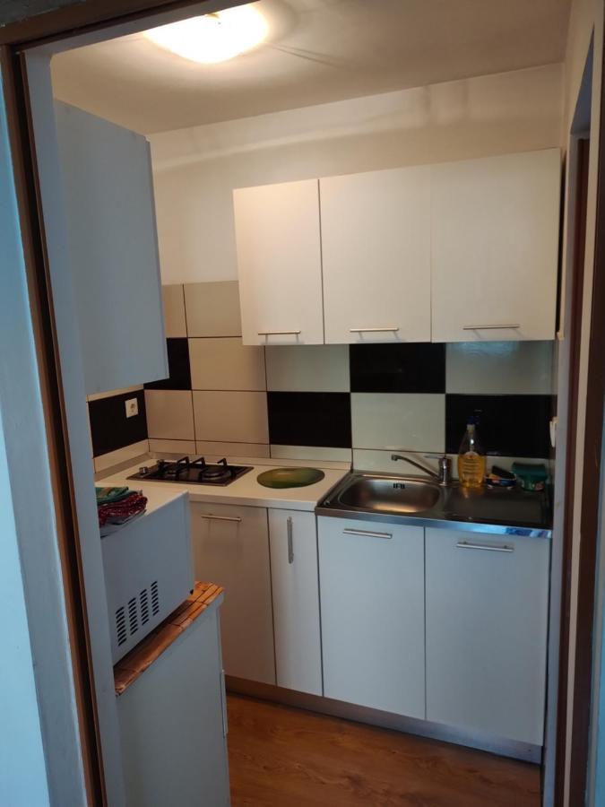 Vicky House Leilighet Făgăraş Eksteriør bilde